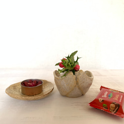 【クリスマスコフレ】スワンの花器&ボタニカル豆皿 5枚目の画像