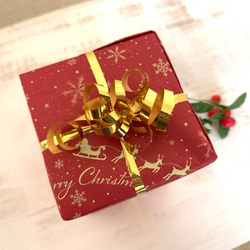 【クリスマスコフレ】スワンの花器&ボタニカル豆皿 10枚目の画像