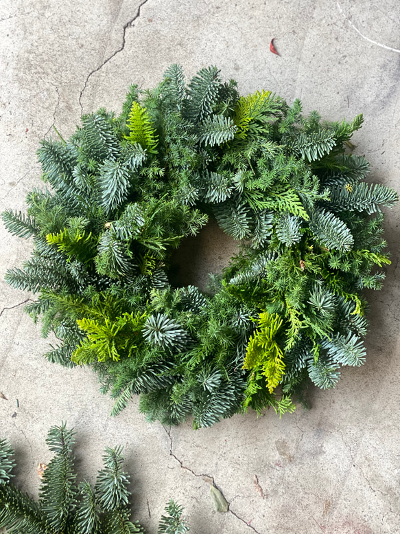 オレゴンモミのクリスマスリース　Lサイズ オレゴンモミたっぷりのシンプルクリスマスリース ／森の香り 生花から