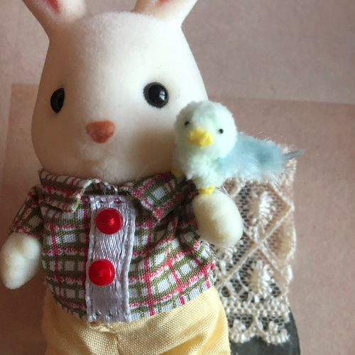 ぬいぐるみ✽アートドール✽インコのぴっぴちゃん✽大サイズ ぬいぐるみ✽アートドール✽ぴっぴちゃん✽大サイズ