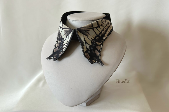 蝶々付け衿:アゲハ蝶-セピア– ＜付け襟＞ 1枚目の画像