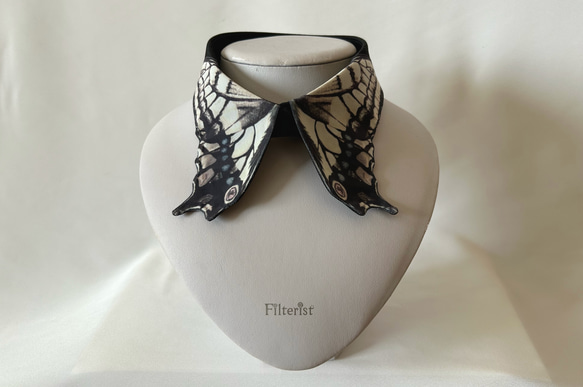 蝶々付け衿:アゲハ蝶-セピア– ＜付け襟＞ 2枚目の画像