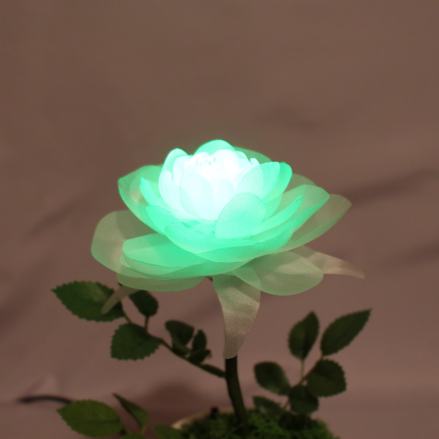 暗くなると開く花 誕生日 記念日 ギフト 光る花 フローラサイクル