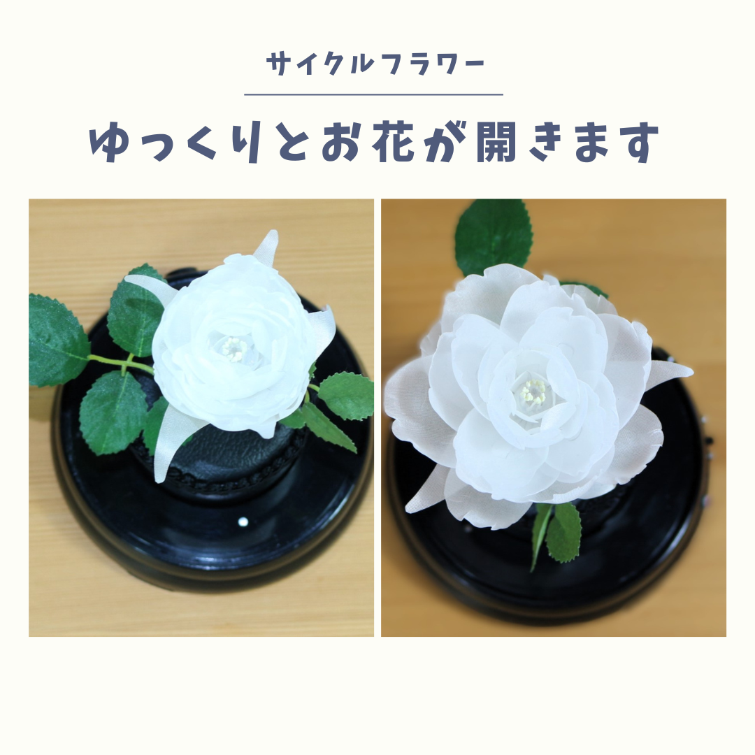 暗くなると開く花 誕生日 記念日 ギフト 光る花 フローラサイクル