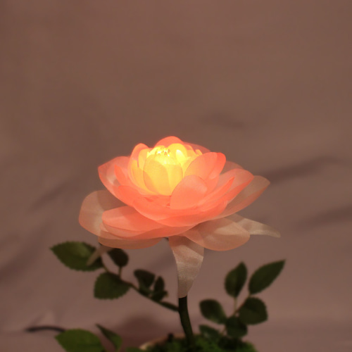 暗くなると開く花 誕生日 記念日 ギフト 光る花 フローラサイクル