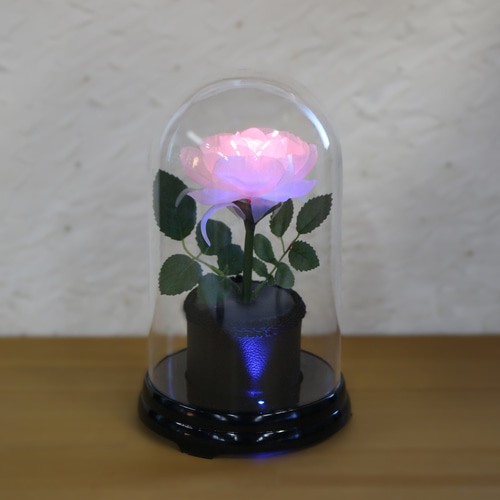 光る花 暗くなると開く花 誕生日 記念日 ギフト 光る花 フローラサイクル