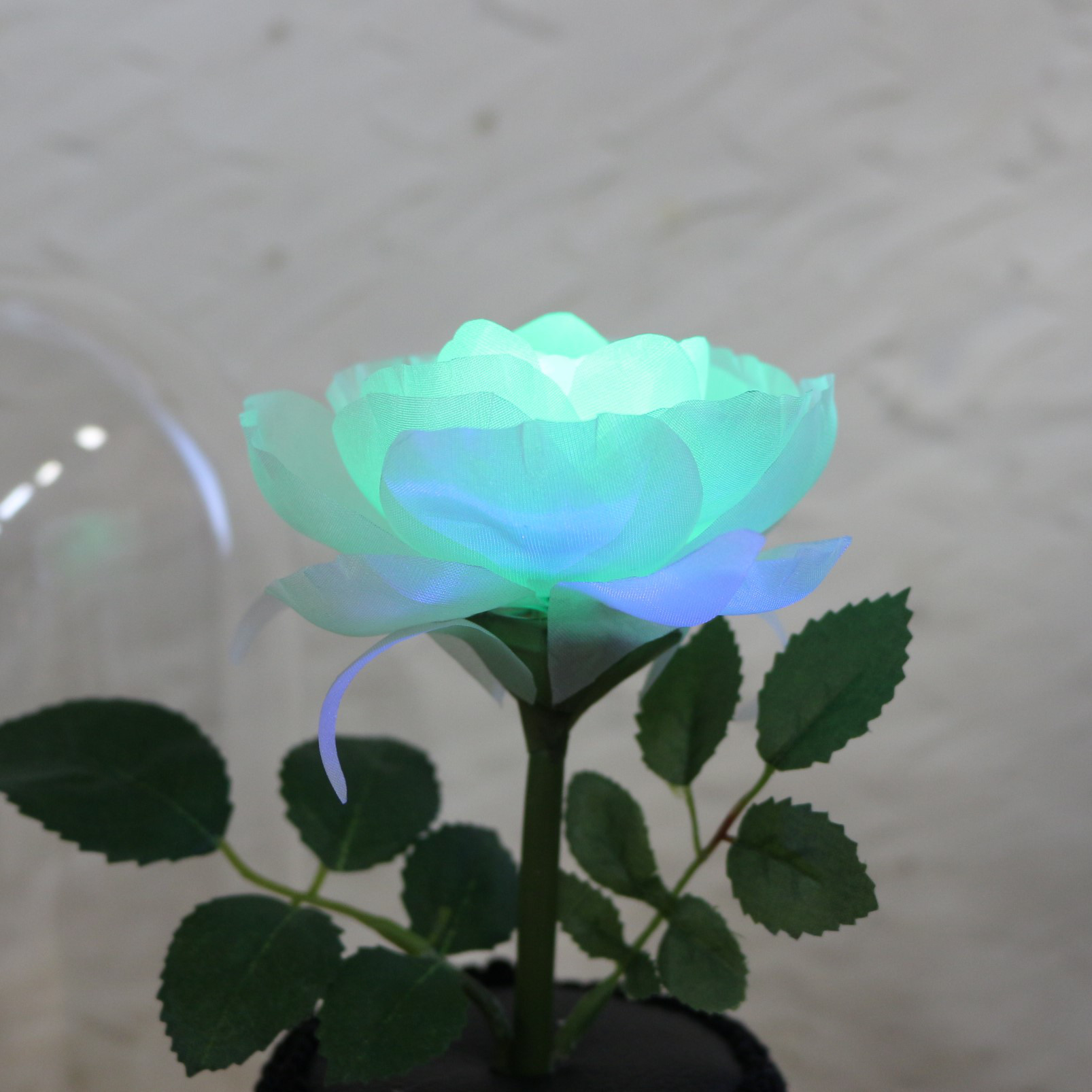 暗くなると開く花 誕生日 記念日 ギフト 光る花 フローラサイクル