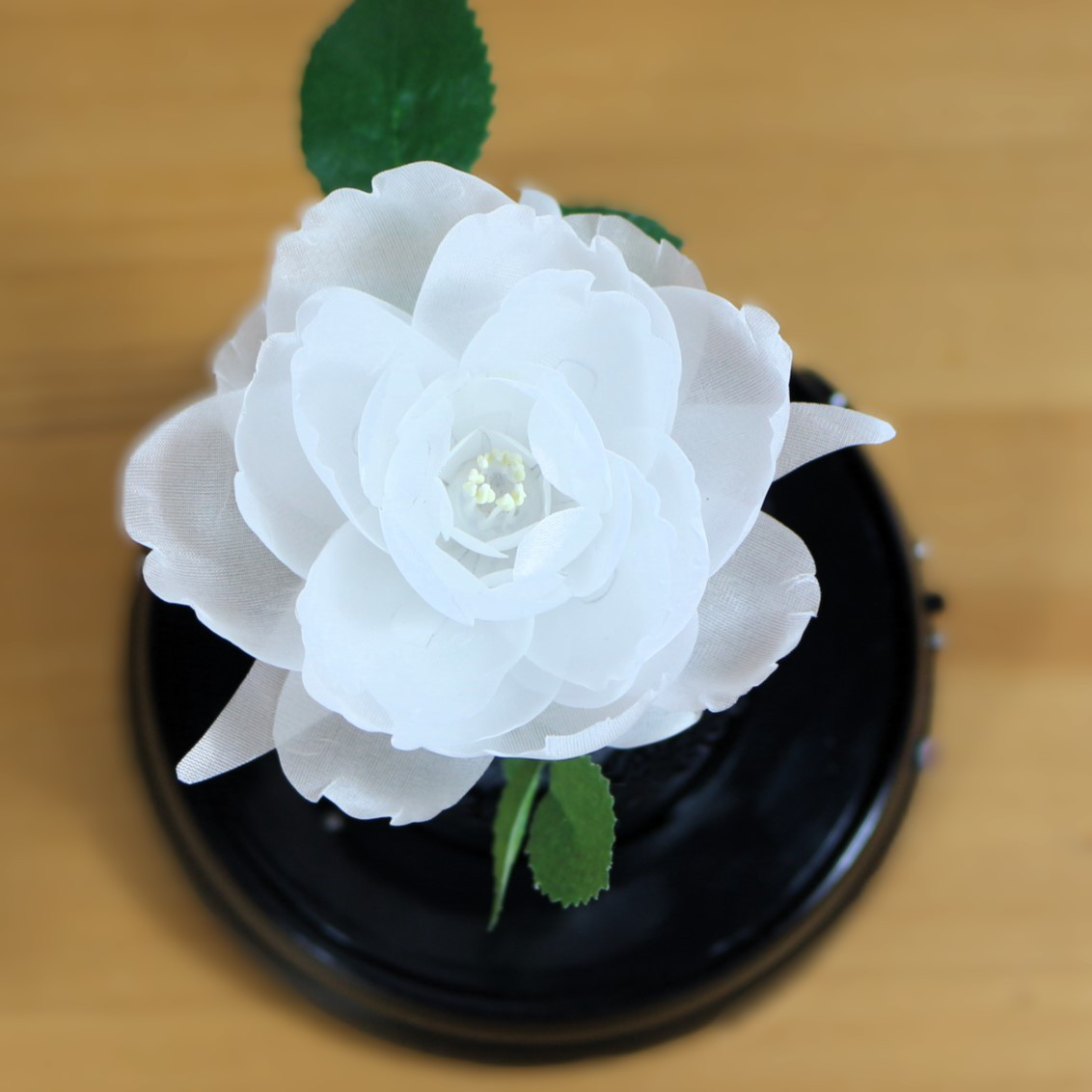 暗くなると開く花 誕生日 記念日 ギフト 光る花 フローラサイクル