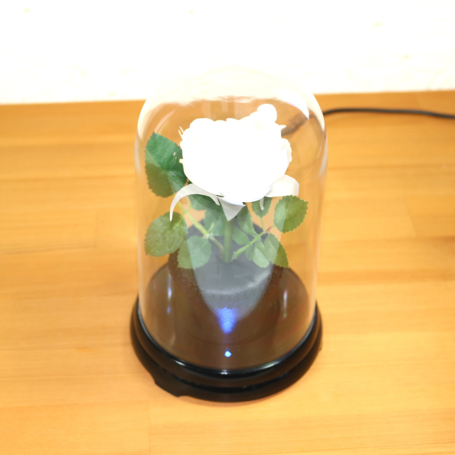 暗くなると開く花 誕生日 記念日 ギフト 光る花 フローラサイクル