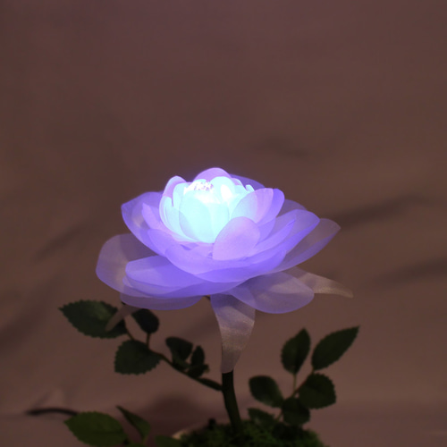 暗くなると開く花 誕生日 記念日 ギフト 光る花 フローラサイクル