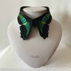 蝶々付け衿:アオスジアゲハ ＜付け襟＞ 2枚目の画像