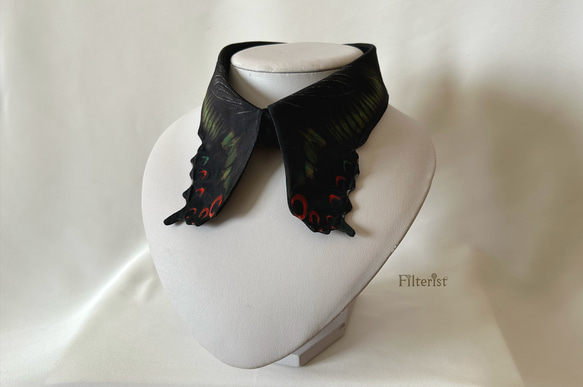 蝶々付け衿:ミヤマカラスアゲハ＜付け襟＞ 1枚目の画像