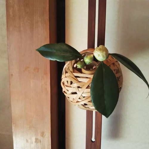 山桜の垂撥(スイハツ) 壁掛け 花器 一輪挿し 花掛け 華道 茶道