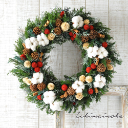 ✽翌日発送✽オリジナルカラーのナッツが楽し気✽木の実たっぷり大きめリース【Xmas harvest wreath L】 1枚目の画像