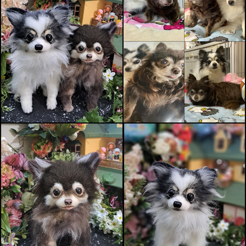 展示画像 うちの子サイズ オーダー ぬいぐるみ カズコオガワ 展示画像 うちの子サイズ オーダー ぬいぐるみ カズコオガワ