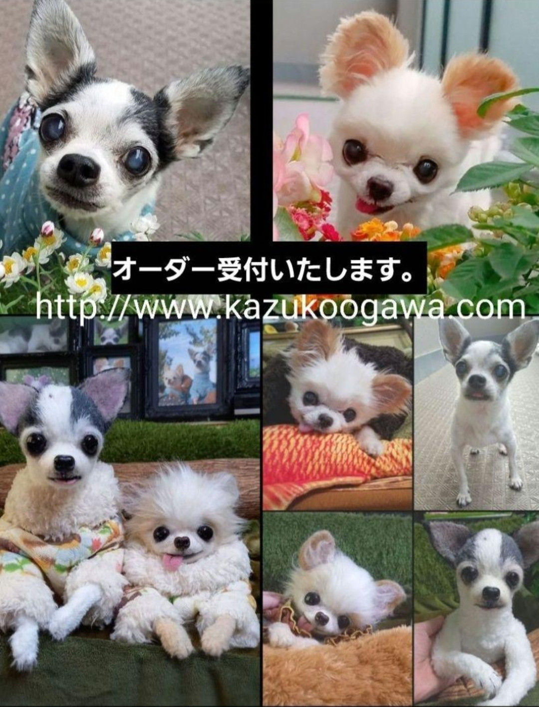 激安本物 夢ちゃん専用ページ♥️　チワワ　ぬいぐるみ　等身大　カズコオガワ ぬいぐるみ