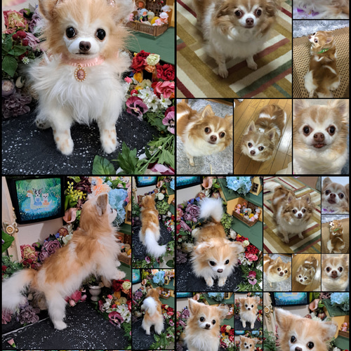 【70％OFF】 実物大 チワワ リアル カズコオガワ ぬいぐるみ 愛犬 分身 ぬいぐるみ
