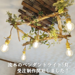 流木のペンダントライト5灯　LED電球セット　受注生産品　　｜天井照明　カフェ/サロン店舗照明 3枚目の画像