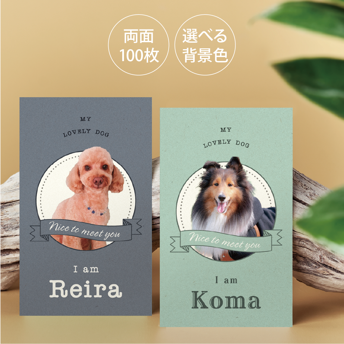 うちの子・ペット名刺　写真入り　インスタグラム名刺　QRコード無料　送料込　高品質両面100枚　イベントに（サークル縦）