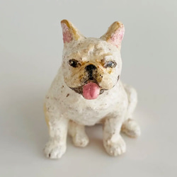 フレンチブルドッグ（french bulldog） 3枚目の画像
