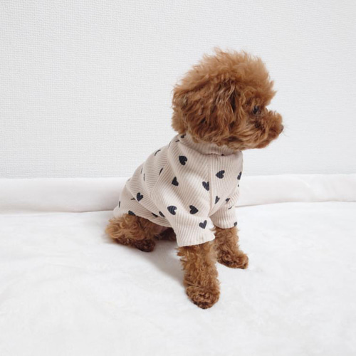 dottoさま☆犬服ハンドメイド 犬服ハンドメイドchouchouLupan | ドッグマルシェ | & My Dog 5