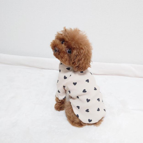 ＊R＊様オーダー専用カートです❣️Arama 犬服ハンドメイド　和柄　犬服 R＊様オーダー専用カートです❣️Arama 犬服ハンドメイド 和柄 犬服