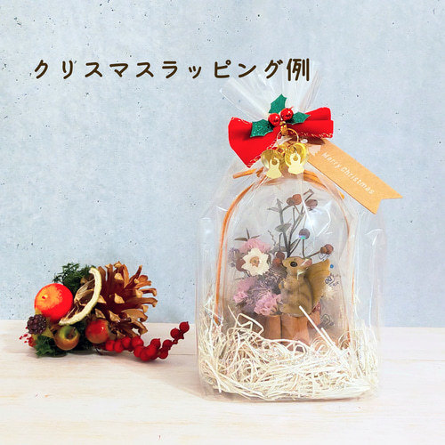 クリスマス2023*//推し活♪//オーナメント＊松ぼっくり/選べる3種/Xmas