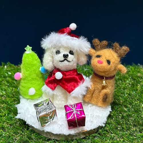 クリスマスセット トイプードルサンタ マントをまとった白