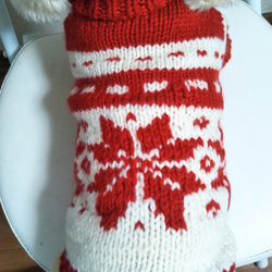 【犬用セーター】雪の結晶編み込みニットです。 1枚目の画像