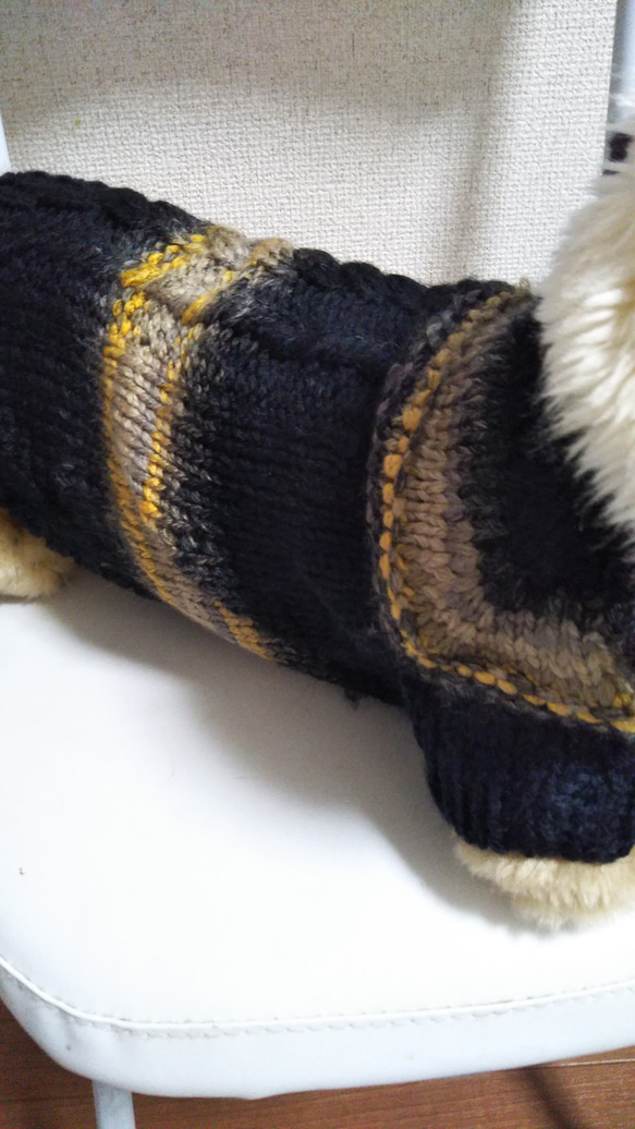 【犬用セーター】Ｌサイズグラデーションのステキなニット出来ました❢ 4枚目の画像