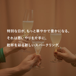 甘くない低アルスパークリングワイン 洋梨 PEAR BRUT（ギフトボックス付き） 6枚目の画像