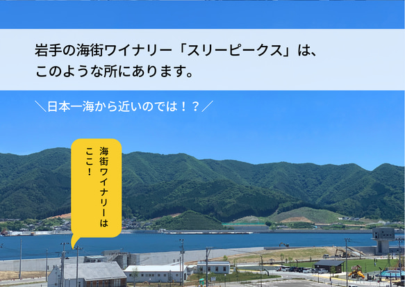 ギフト可｜誕生日｜御祝｜ リラックスして楽しむワイン２本セット REGALO 2022 メルロ・ピノグリ 7枚目の画像