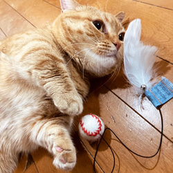 小さい鈴と白い羽つき 猫のおもちゃ　羊毛ボール　ベースボール　 5枚目の画像