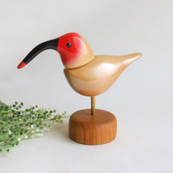 トキ　 Japanese Crested ibis 2枚目の画像