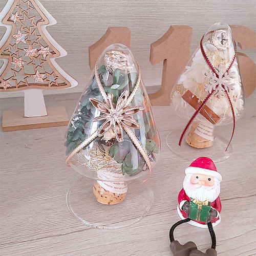 超早割祭2025】毎年飾れるシードボトルクリスマスツリー☆ クリスマス