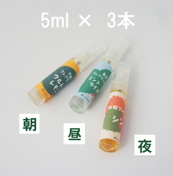  第3張的照片