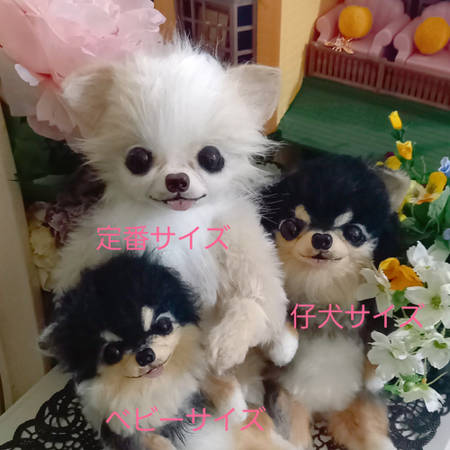オーダーお受けします。チワワ リアル 実物大 分身 ぬいぐるみ 羊毛 