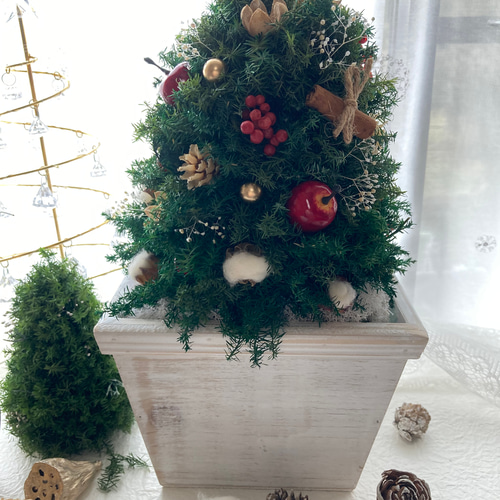 超早割クリスマス2025 コンパクトクリスマスツリー プリザーブドドライ