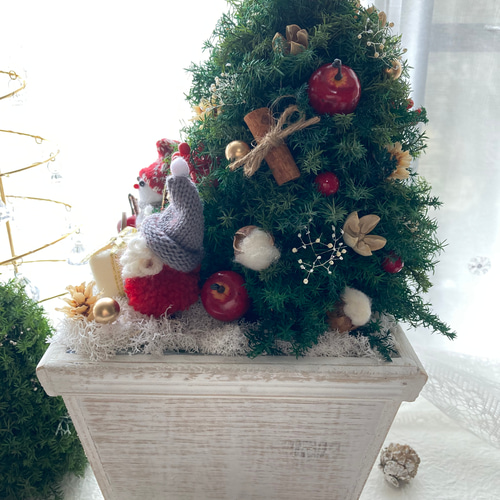 超早割クリスマス2025 コンパクトクリスマスツリー プリザーブドドライ