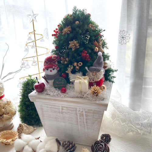 超早割クリスマス2025 コンパクトクリスマスツリー プリザーブドドライ