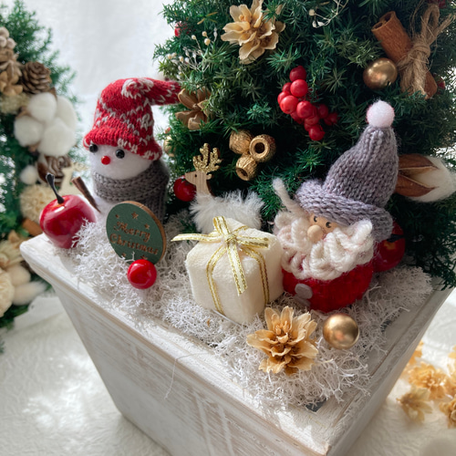 超早割クリスマス2025 コンパクトクリスマスツリー プリザーブドドライ