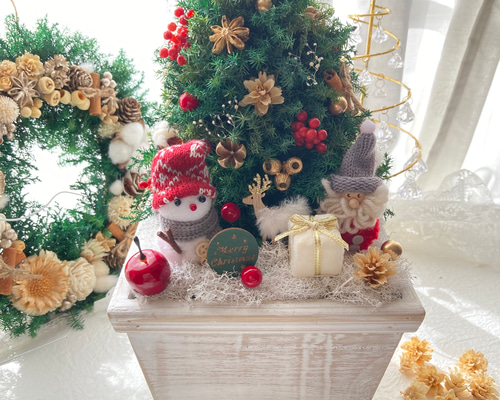 da9755212e23b903c8790ee485858b