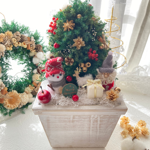 超早割クリスマス2025 コンパクトクリスマスツリー プリザーブドドライ