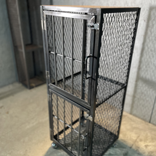 アイアン監獄BOX 2段 棚 植物棚 コレクションケース 棚・シェルフ