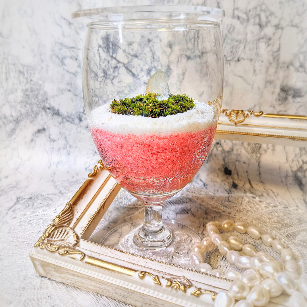 シャネイル様❣️苔リューム❣️オーダー4点セット❣️送料込み❣️ ❣️苔アート❣️