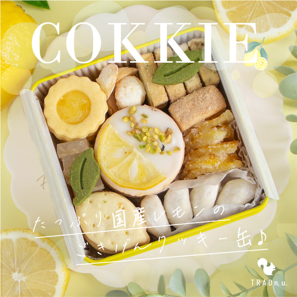 再販｜お中元|レモンづくしクッキー缶 アイシングクッキー ギフト 手土産 琥珀糖 レモンピール レモン ジャムサンド 1枚目の画像