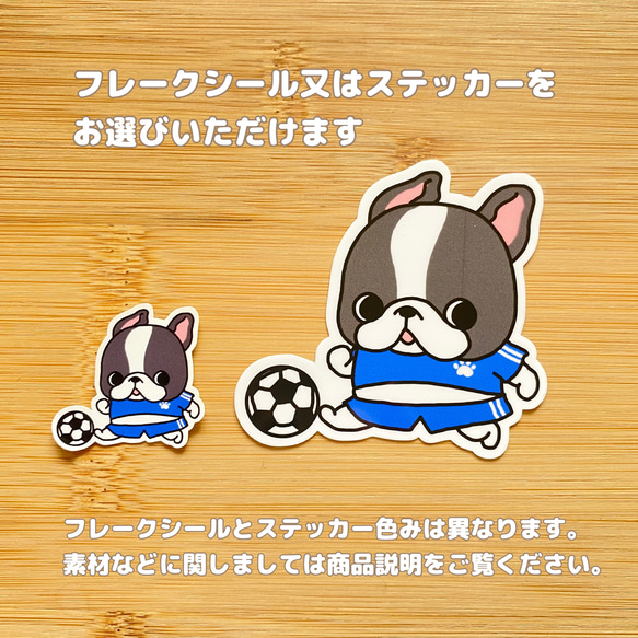 かわいいフレブルちゃんのサッカー。SP16 3枚目の画像