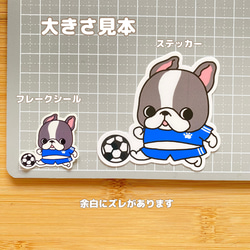 かわいいフレブルちゃんのサッカー。SP16 5枚目の画像