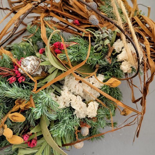 クリスマスリース*ブルーバード*レッド&ホワイト リース papaver 通販