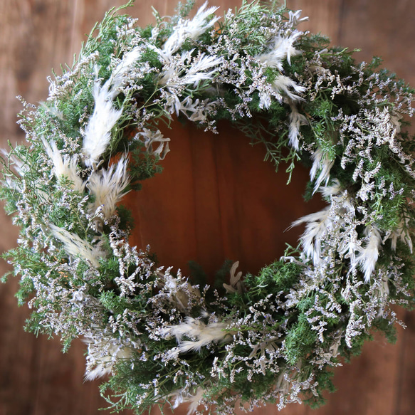 大きめ針葉樹のリース ＊ ホワイト ドライフラワー クリスマスリース  